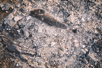 Remains of charcoal and ash after burning wood