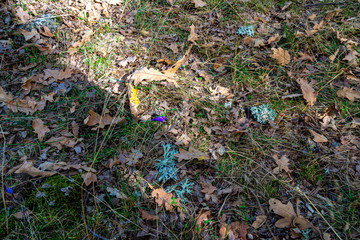 autumnal ground with sun and shade