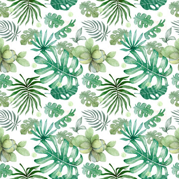 Hand drawn watercolor tropical leaves seamless pattern. Exotic leaves illustrations on white backgorund, jungle tree, brazil trendy