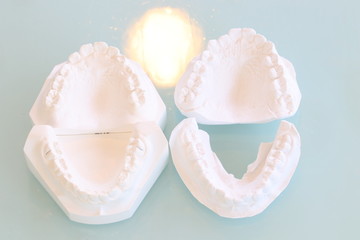 歯科模型

