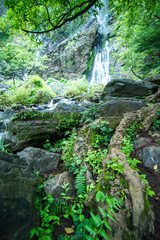 waterfall in Rain forest,at Kamphaeng Phet, Khlong Lan national park Thailand