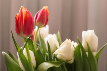 Fototapeta na wymiar bouquet of tulips
