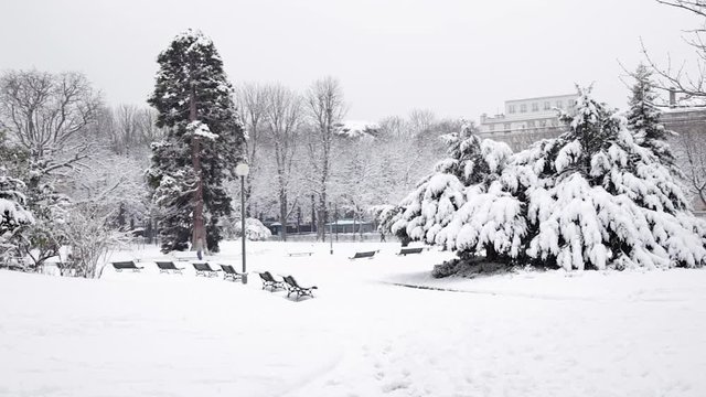 trees on covered with snow the Champs-Elysees Avenue in Paris France, in winter with traffic on a snowy Christmas day