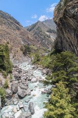 Beautiful mountain valley with flowing river in Himalayas in the day near Thyangboche village. Mountainside is covered by coniferous trees. Beautiful landscape. Theme of travel in Nepal.