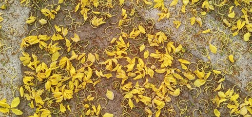 texture of a yellow wall