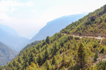 Fototapeta premium Footpath through coniferous forest lying on mountainside in Himalayas. Everest Base Camp Trekking Route. Beautiful landscape. Theme of travel in Nepal.