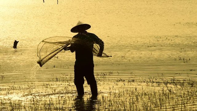 Silhouette of Asian fisherman with fishing net casting fish by throwing fishing net into the lake in morning sunshine.Fish is nature food from river or lake at rural in developing country
poor living.