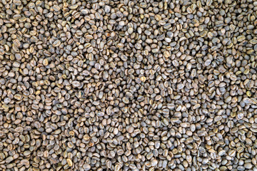 coffee beans have not been roasted. top view
