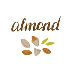 ALMOND lettering with illustration of almonds on white background. Vector illustration. Template for packaging design, print design, postcard, banner, label, poster,