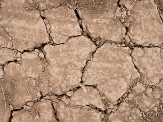 Detail of dry land as a background