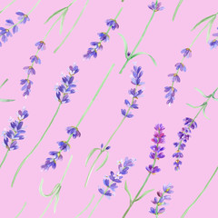 Watercolor pattern with lavender, watercolor hand drawing. Fabric wallpaper print texture. Stock illustration.