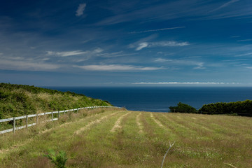 Fototapeta na wymiar The Channel Islands in summer with good weather and greenery