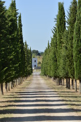 camino