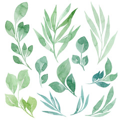 Hand drawn watercolor illustration of abstract green branch. Elements for design of invitations, movie posters, fabrics and other objects, isolated on white background