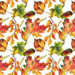Seamless pattern with autumn leaves, maple, oak on an isolated white background,  watercolor drawing.