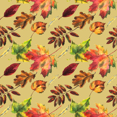 Seamless pattern with autumn leaves, maple, oak,  watercolor drawing.
