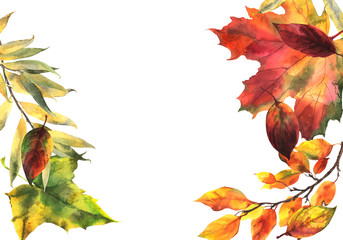 watercolor frame with autumn leaves, pumpkin, rosehip, maple, oak on an isolated white background, watercolor drawing.