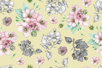 flowers blackberry plants garden pattern seamless print textile graphics line ink hand drawn congratulations postcard card background illustration spring nature summer