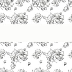 flowers blackberry plants garden pattern seamless print textile graphics line ink hand drawn congratulations postcard card background illustration spring nature summer