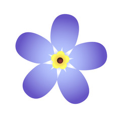 Forget-me-not vector flower
