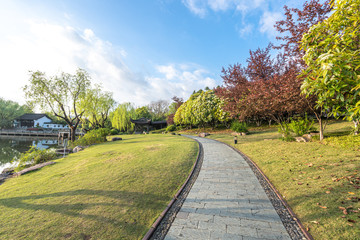 road in park