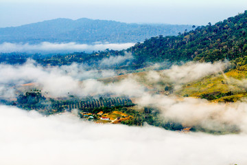 See the mist in Khao Kho, Phetchabun, Thailand.