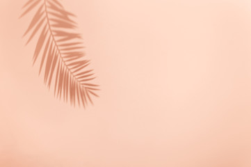 Fototapeta na wymiar Palm leaf shadow on pink background. Minimal summer concept
