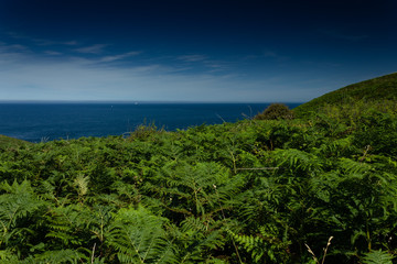 The Channel Islands in summer with good weather and greenery