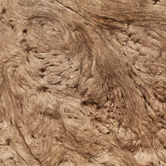 wooden texture. perfect for background.