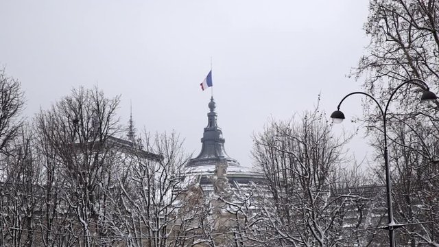 French flag waving on the Grand Palais covered with snow in winter in Paris France on a snowy Christmas day 