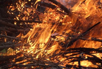 big flame 
