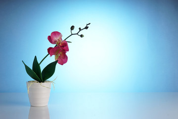 Artificial wild orchid for table decoration