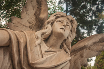 Obraz premium estatua de ángel en cementerio 