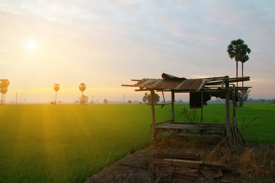 Abandoned hideout wooden cottage house  Sunrise at the field