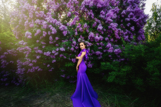 Beautiful Young Girl In A Purple Dress In Bloom Of Lilac