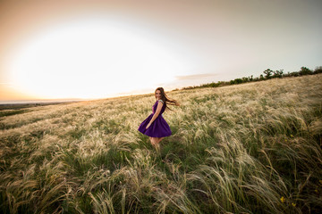 beautiful young girl in a short purple dress is spinning at sunset in a field in a feather grass