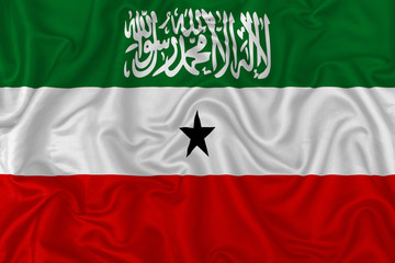 Naklejka premium Republic of Somaliland flag