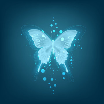 glowing butterflies anime