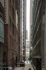 Chicago in summer with clear skies with buildings and greenery