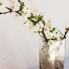 Tree branch with blooming flowers in a vase - 336427657
