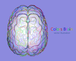 Abstract colorful human brain. Conceptual of creative and artificial intelligence. Futuristic forms of lines brain structure.