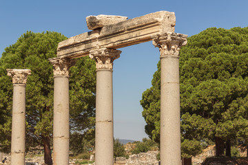 Fototapeta premium Rekonstruktion