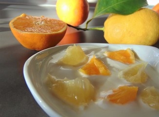 Yoghurt with citrus fruits in a bowl. Sour cream, yogurt with fresh orange and lemon, close up.