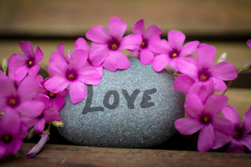 Stone with the word love written on it and surrounded by beautiful pink flowers