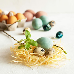 Blue Easter eggs painted with natural dye from red cabbage or blueberries in decorative nest or basket made of hay with quail eggs and tree branch. Ecological staining with organic food coloring