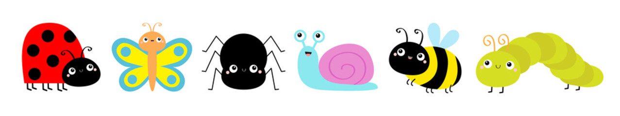 Ladybug ladybird, beetle, butterfly, green caterpillar, spider, honey bee, snail. Insect set line. Cute cartoon kawaii baby animal character. Flat design. White background. Isolated.