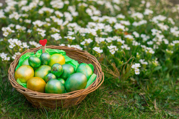 Chicken and quail eggs painted in gold and green mother of pearl paint for the holiday of Easter in the crayfish of the child. Easter concept