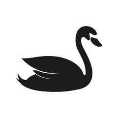 black swan logo isolated on white