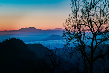 Beautiful sunrise at bromo mountain. landscape mountain covered with cloud and tree. stunning...