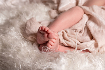 A close-up of tiny baby feet. Photo of newborn baby fee